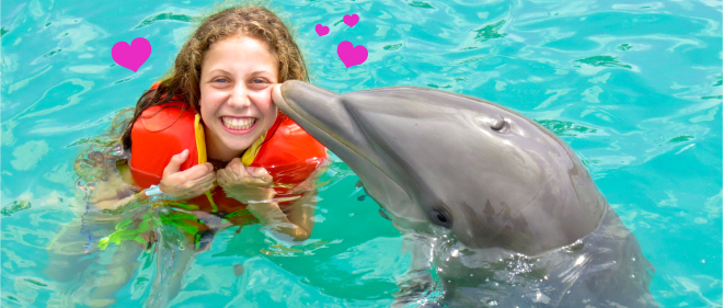 Dolphin kisses